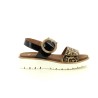ARA 12 33505 Léopard